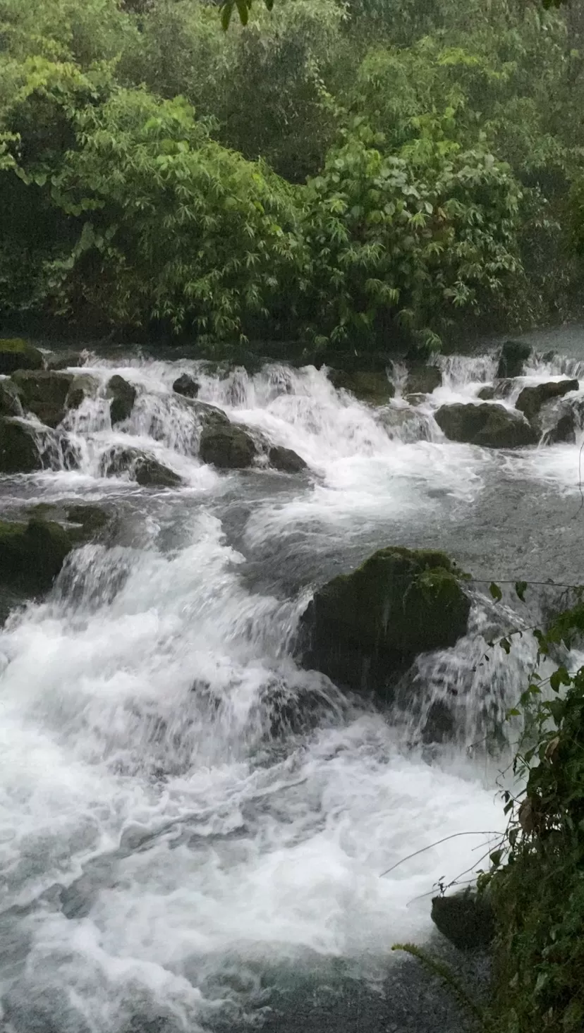 旅游推荐🏅家庭游：贵州茂兰原始森林穿越