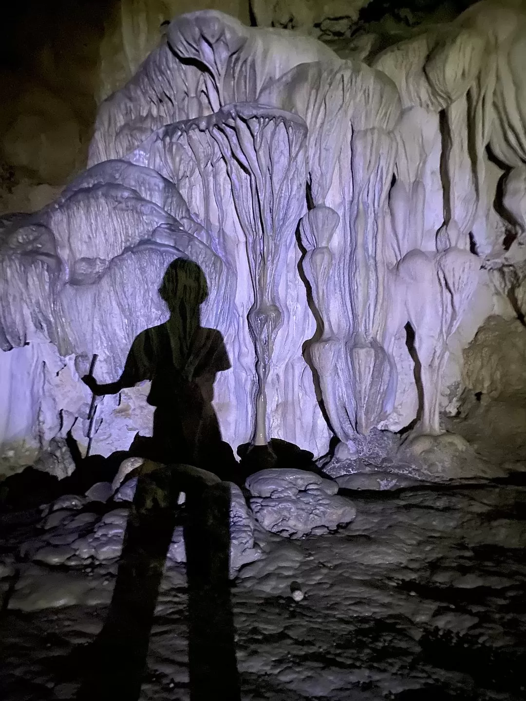 旅游推荐🏅家庭游：贵州茂兰原始森林穿越