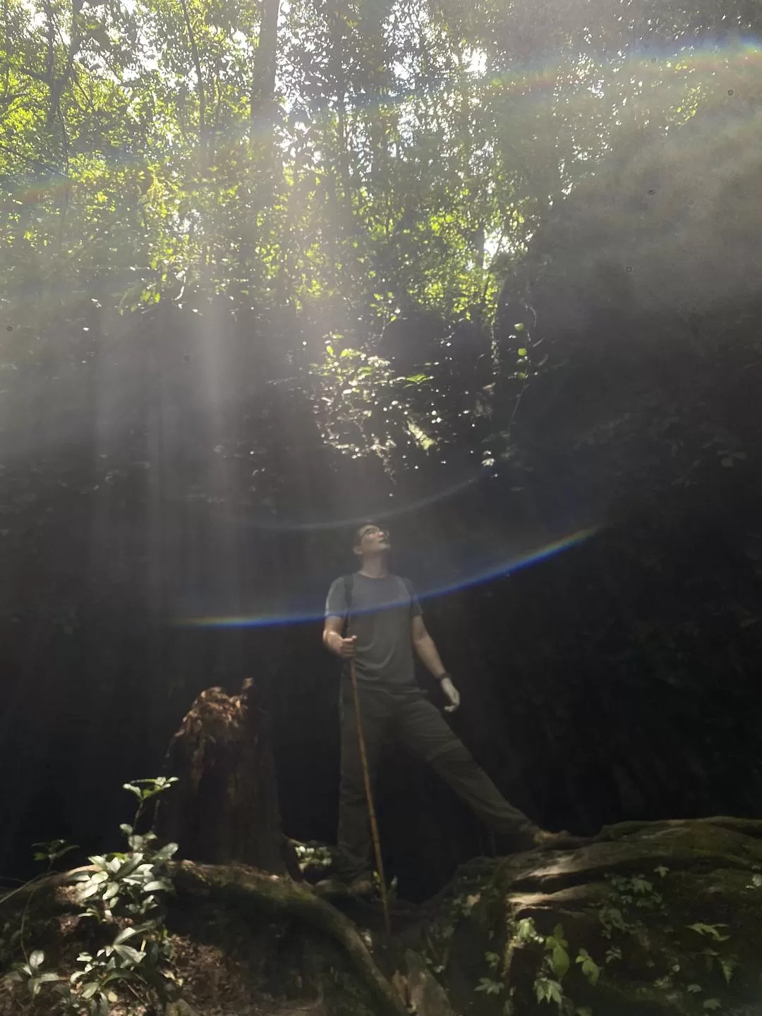 旅游推荐🏅家庭游：贵州茂兰原始森林穿越