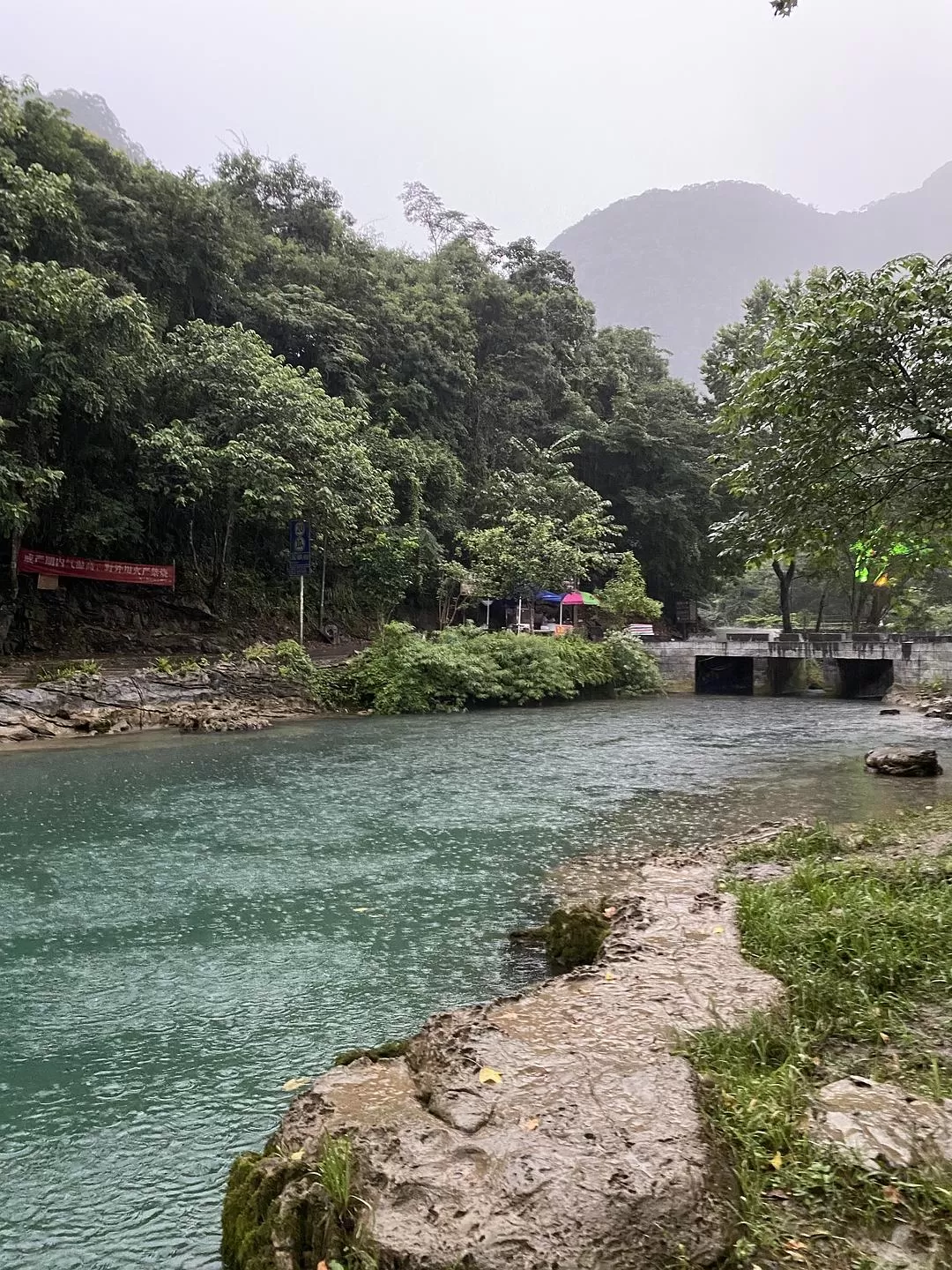 旅游推荐🏅家庭游：贵州茂兰原始森林穿越