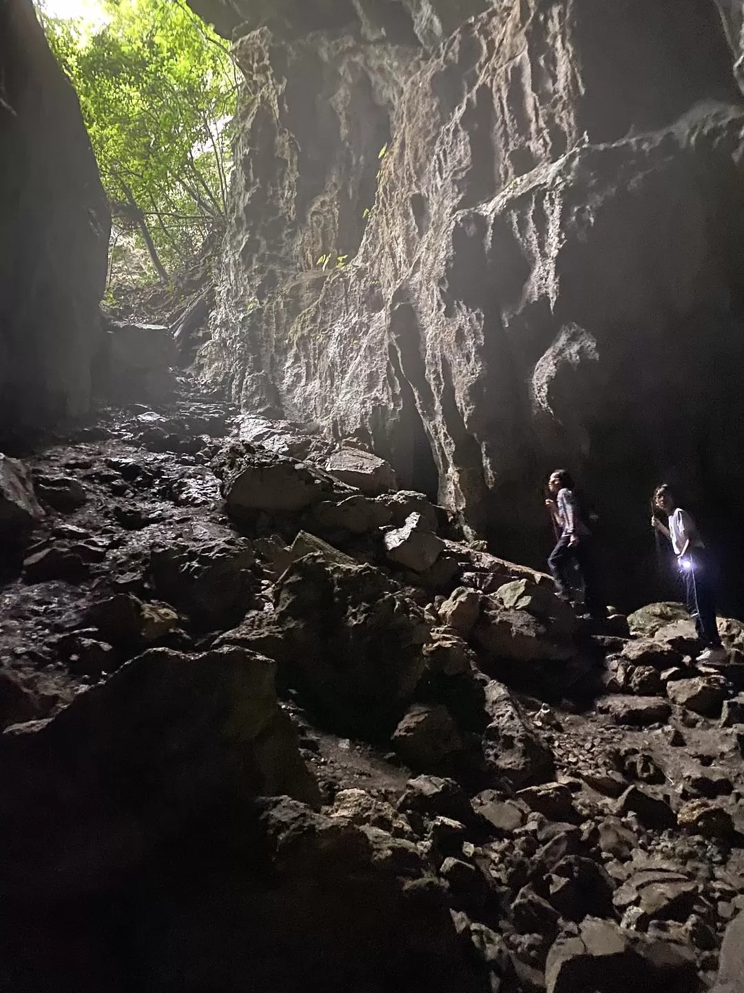 旅游推荐🏅家庭游：贵州茂兰原始森林穿越