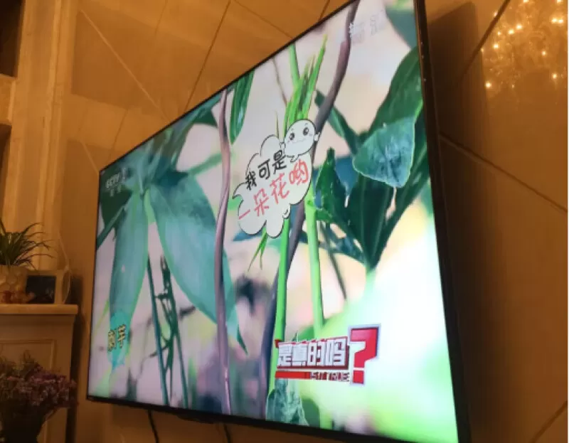 🌟夏普4T-C65U5DA全面屏4K语音液晶电视65寸评测夏普液晶电视怎么样?