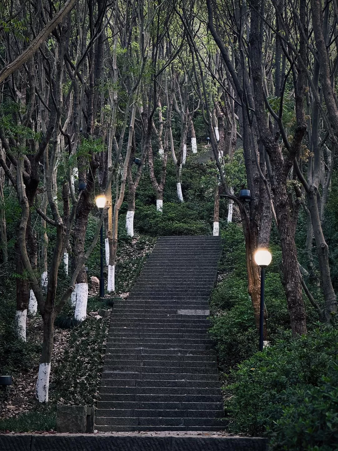 旅游推荐🏆两人游:烟花三月下……湖州(超有性价比的春日出游)