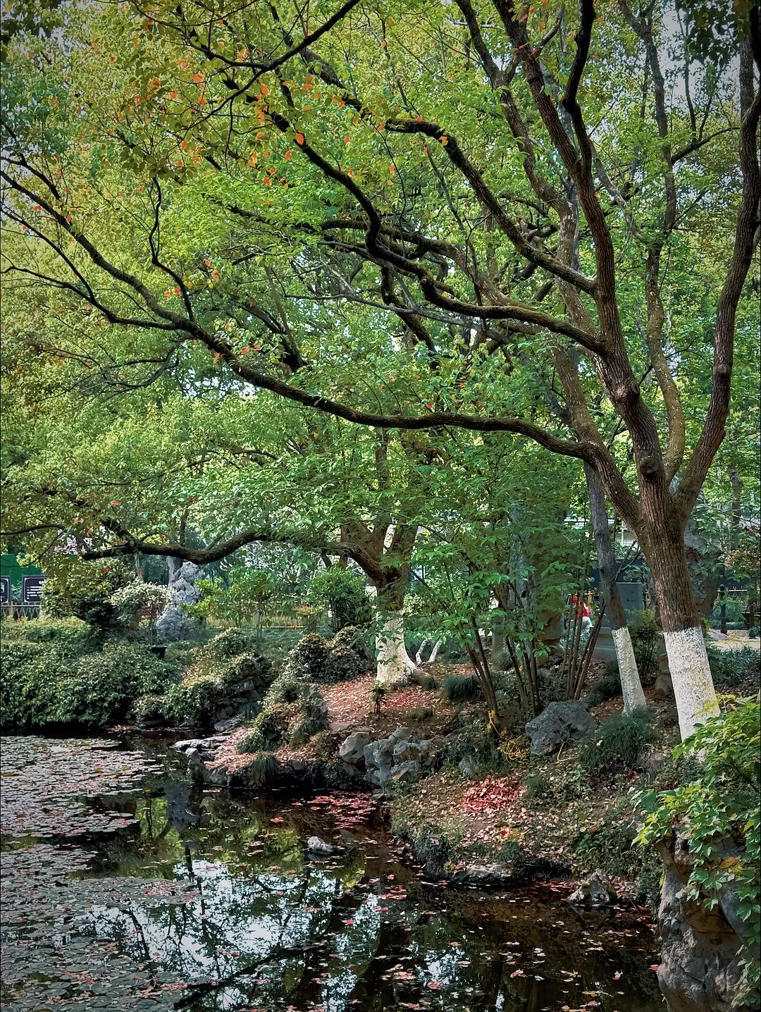 旅游推荐🏆两人游:烟花三月下……湖州(超有性价比的春日出游)