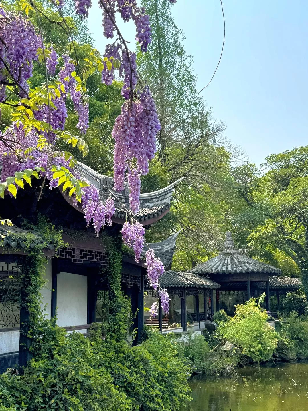 旅游推荐🏆两人游：烟花三月下……湖州（超有性价比的春日出游）