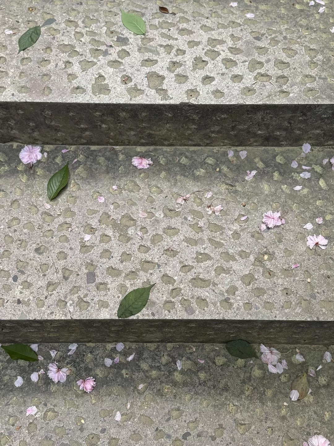 旅游推荐🏆两人游:烟花三月下……湖州(超有性价比的春日出游)