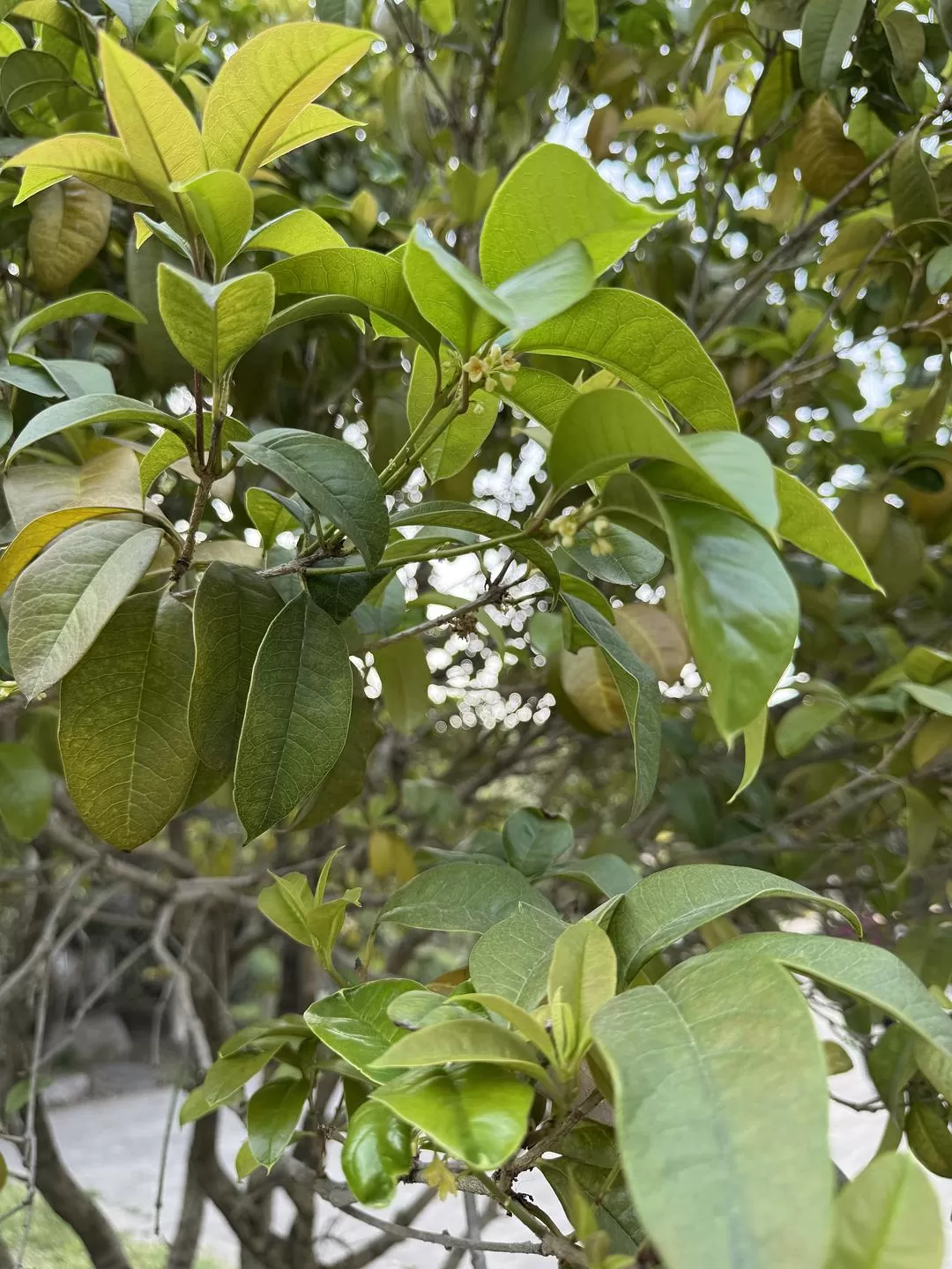 旅游推荐🏆两人游:烟花三月下……湖州(超有性价比的春日出游)
