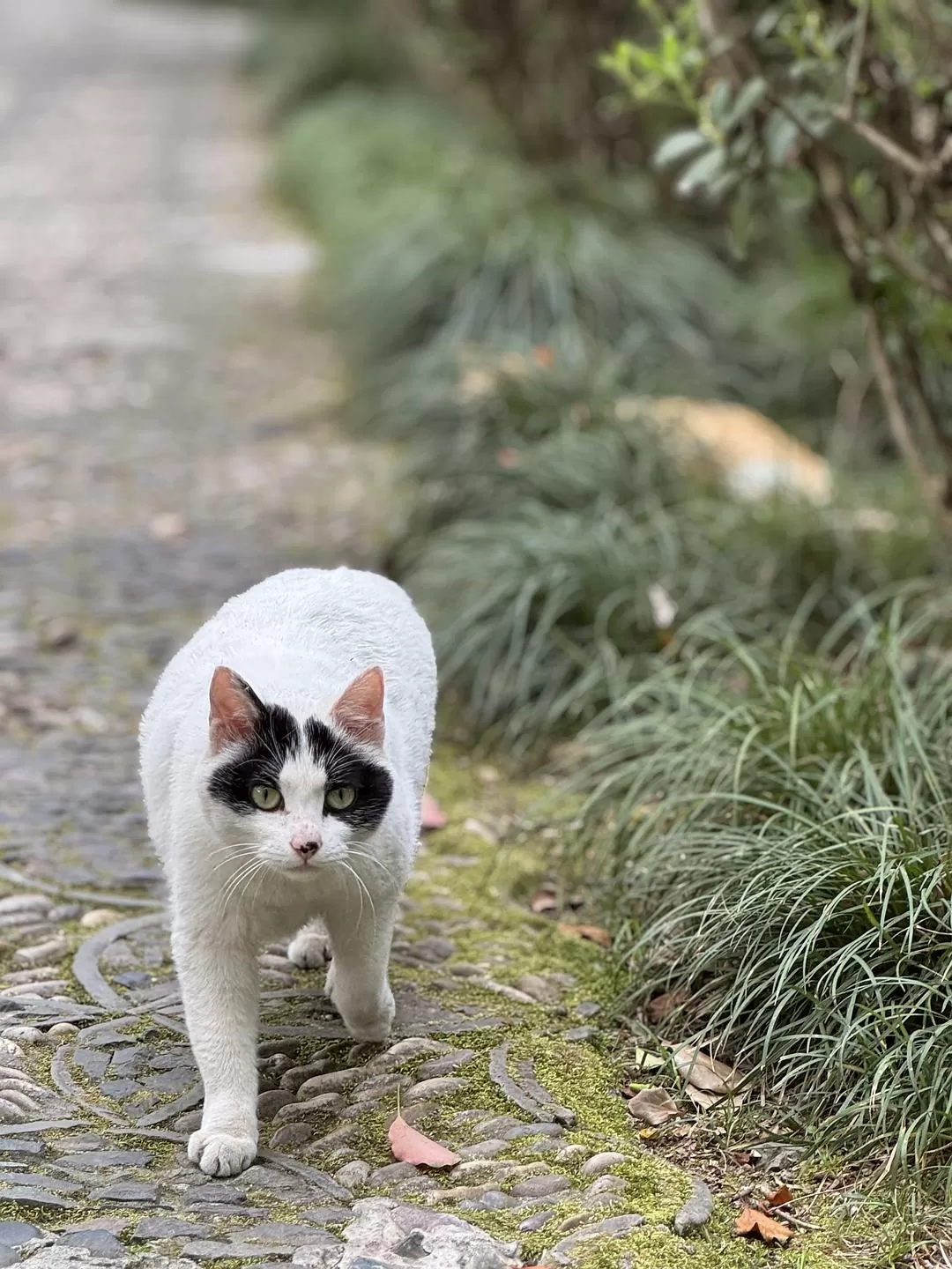 旅游推荐🏆两人游:烟花三月下……湖州(超有性价比的春日出游)