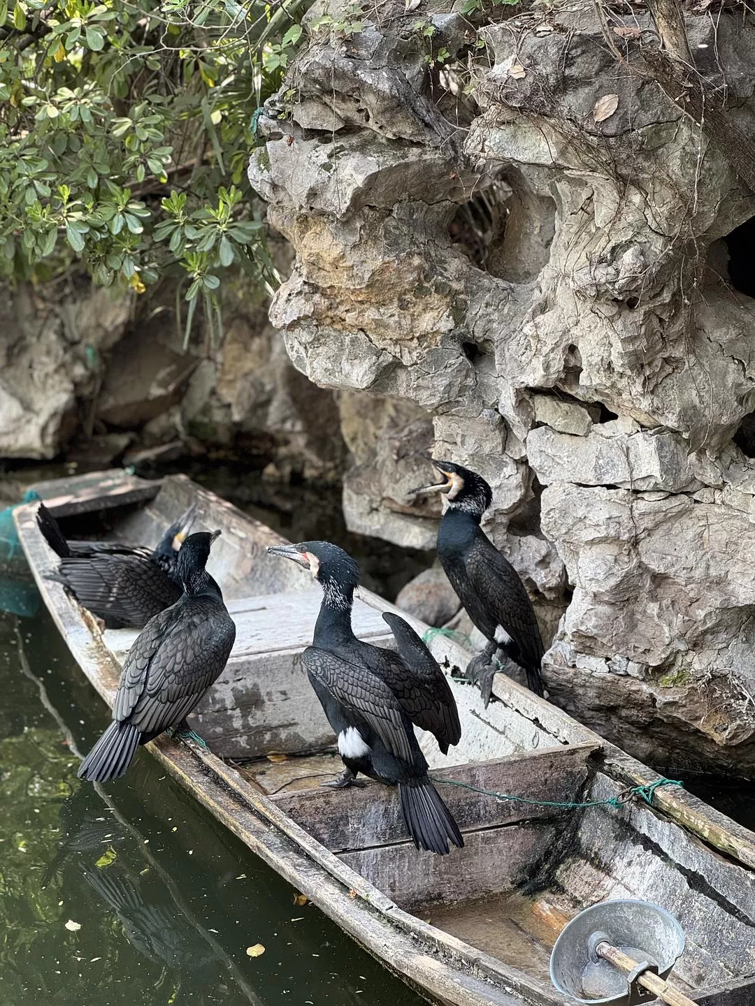 旅游推荐🏆两人游：烟花三月下……湖州（超有性价比的春日出游）