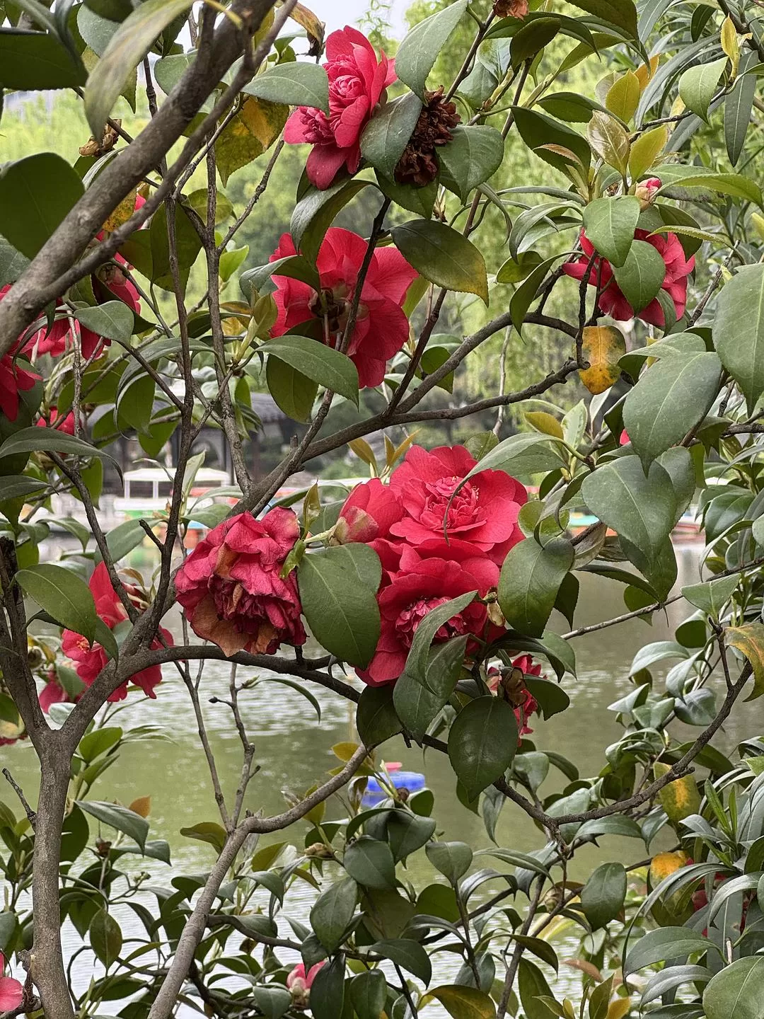 旅游推荐🏆两人游:烟花三月下……湖州(超有性价比的春日出游)