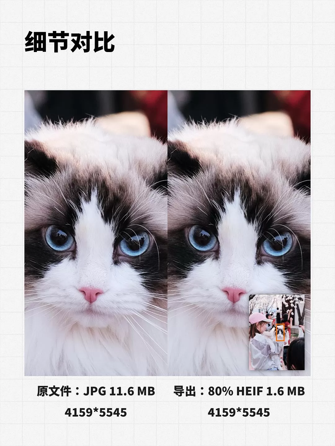 APP推荐🉑：「送码」iPhone 存储告急？Reframe 让你的照片瘦身 80%