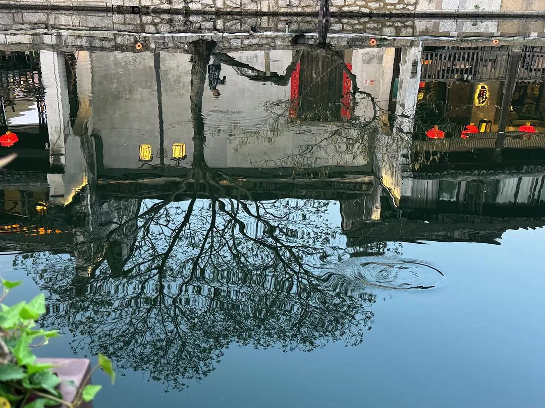 旅游推荐🏆两人游:烟花三月下……湖州(超有性价比的春日出游)