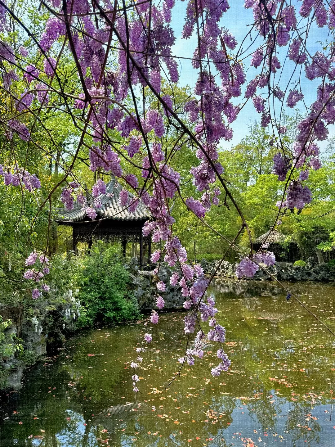 旅游推荐🏆两人游：烟花三月下……湖州（超有性价比的春日出游）