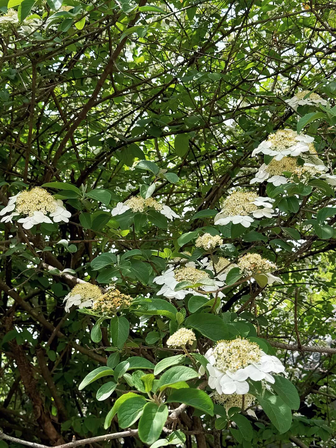 旅游推荐🏆两人游:烟花三月下……湖州(超有性价比的春日出游)