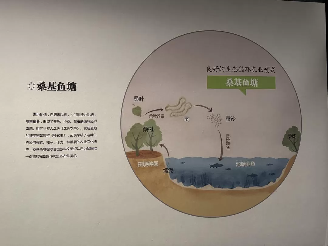 旅游推荐🏆两人游:烟花三月下……湖州(超有性价比的春日出游)