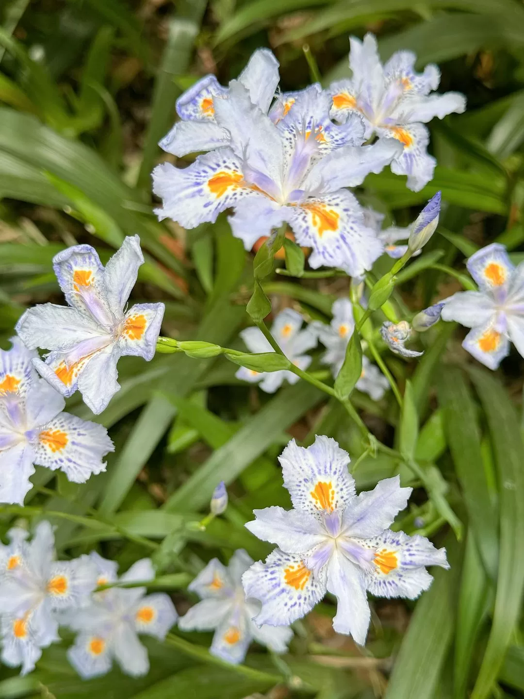 旅游推荐🏆两人游:烟花三月下……湖州(超有性价比的春日出游)