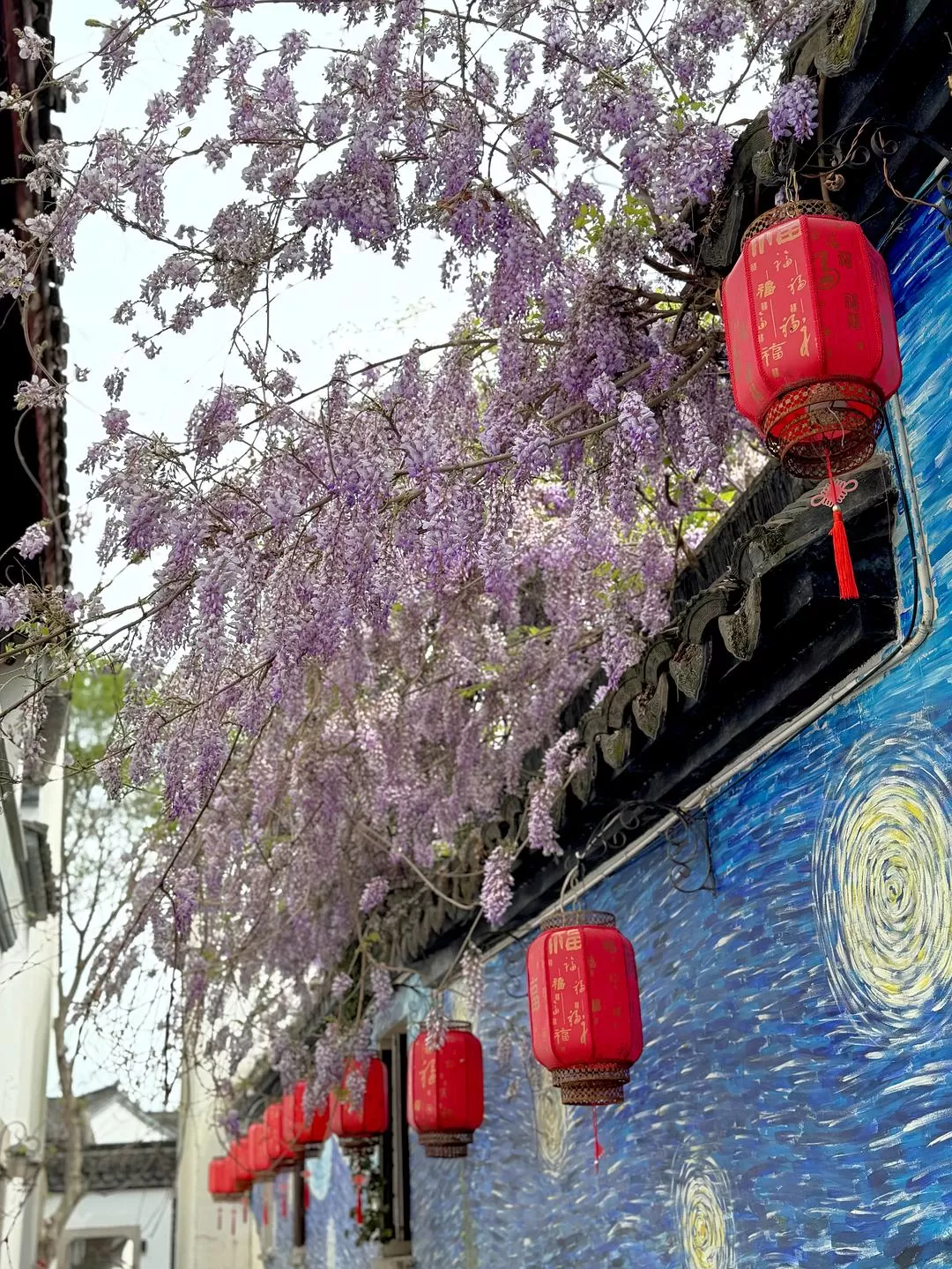 旅游推荐🏆两人游:烟花三月下……湖州(超有性价比的春日出游)