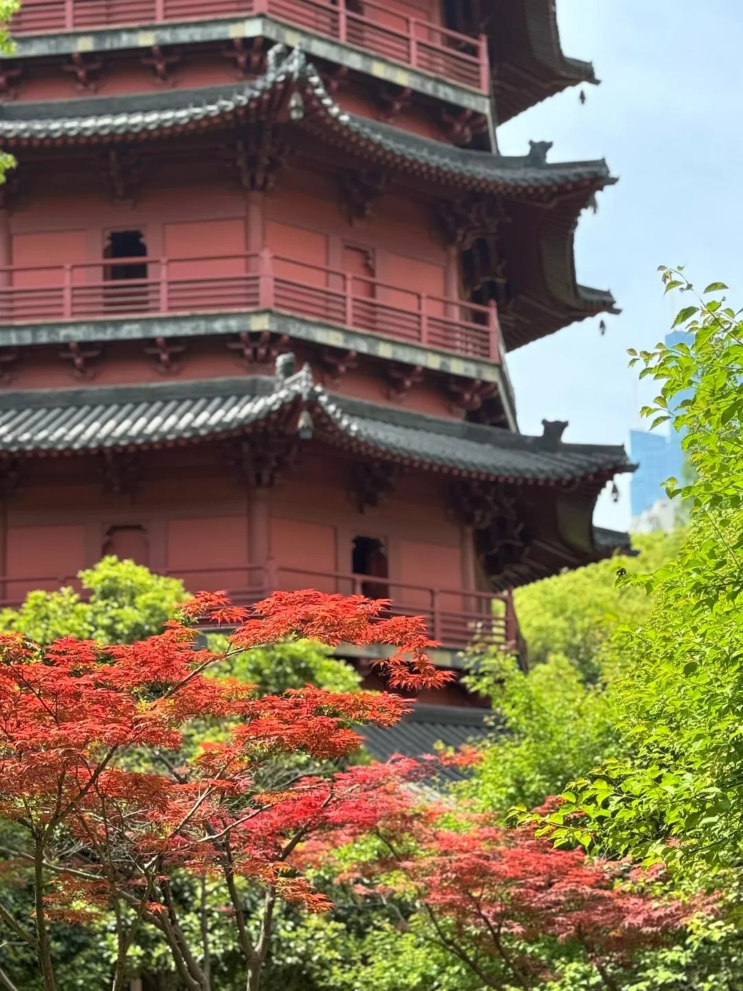 旅游推荐🏆两人游:烟花三月下……湖州(超有性价比的春日出游)