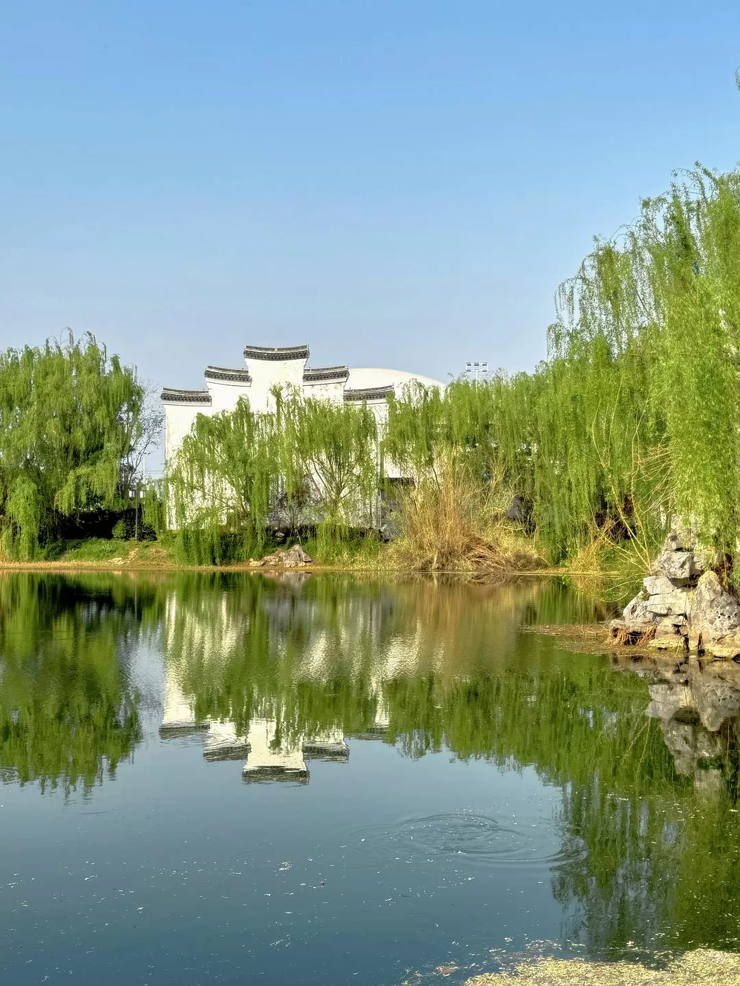 旅游推荐🏆两人游：烟花三月下……湖州（超有性价比的春日出游）