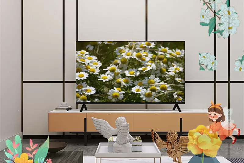 🏆雷鸟鹏6SE全面屏远场语音4K液晶电视55寸评测雷鸟液晶电视怎么样?