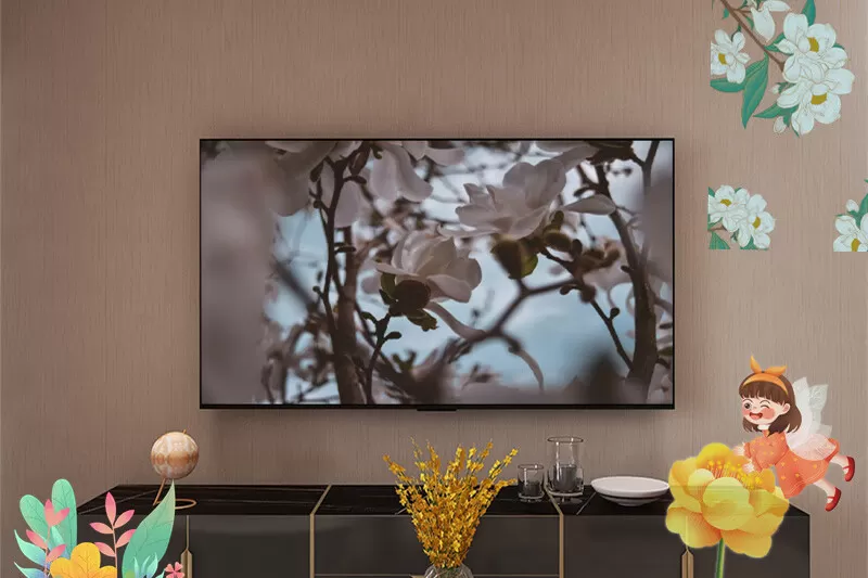 🏆雷鸟鹏6SE全面屏远场语音4K液晶电视55寸评测雷鸟液晶电视怎么样?