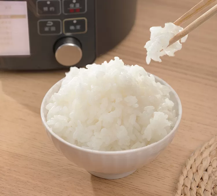 🥉爱丽思小型电压力锅PC-MA2-WCN评测爱丽思电压力锅怎么样?