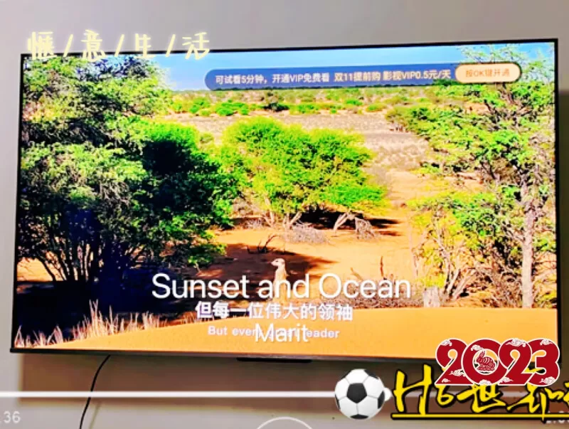 ✨TCL65T8EMaxQLED量子点液晶电视65寸评测TCL液晶电视怎么样?