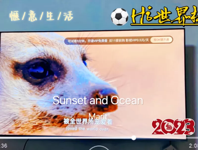 ✨TCL65T8EMaxQLED量子点液晶电视65寸评测TCL液晶电视怎么样?