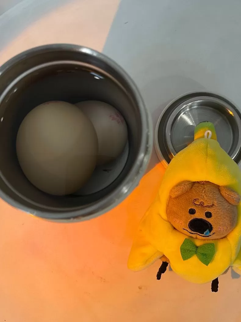 💫摩飞便携式烧水杯调奶器MR6060评测摩飞调奶器怎么样?