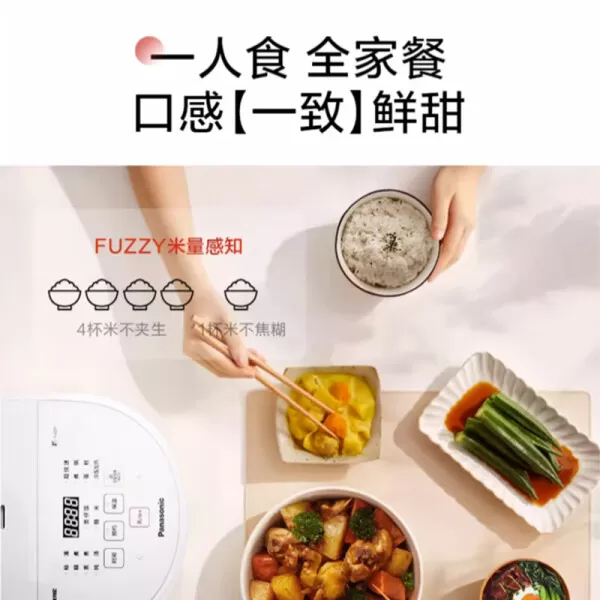 🧧松下SR-DL101电饭煲怎么样?松下饭蹲蹲电饭煲评测