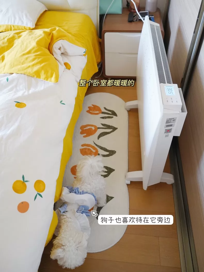 🉑Brandt白朗N22智能变频取暖器评测白朗取暖器怎么样?