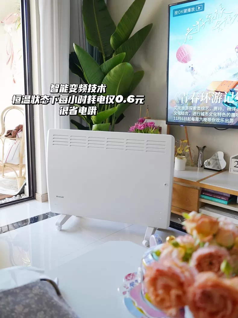 🉑Brandt白朗N22智能变频取暖器评测白朗取暖器怎么样?