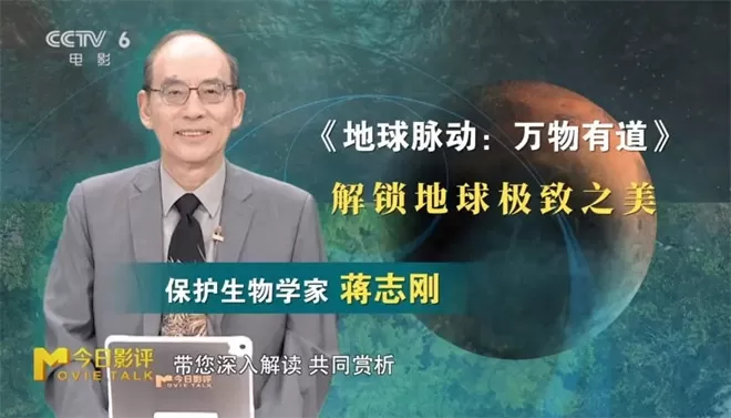 跟随《地球脉动:万物有道》解锁地球极致之美-💯值得看