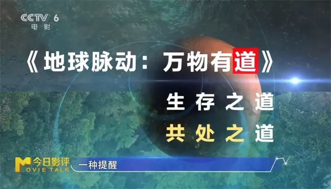 跟随《地球脉动:万物有道》解锁地球极致之美-💯值得看
