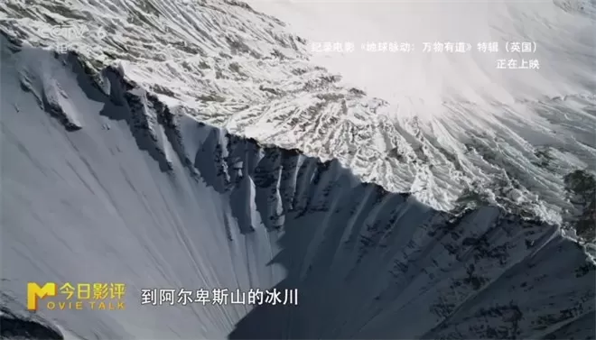 跟随《地球脉动:万物有道》解锁地球极致之美-💯值得看