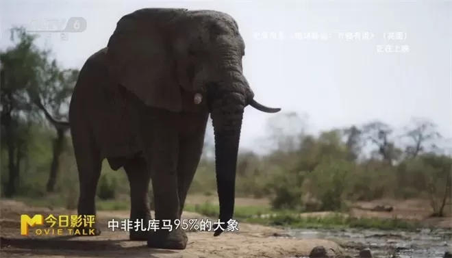 跟随《地球脉动:万物有道》解锁地球极致之美-💯值得看