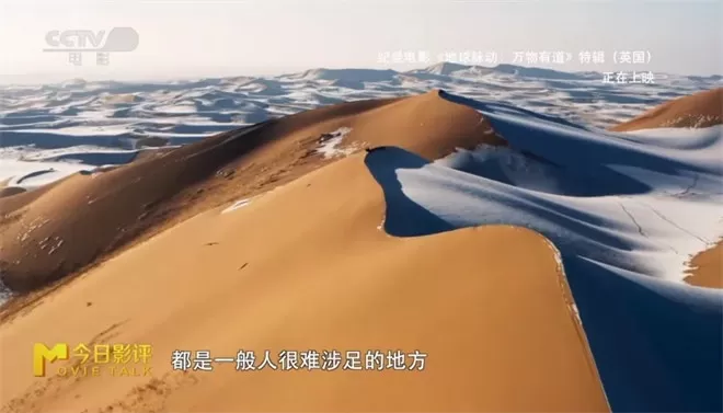 跟随《地球脉动:万物有道》解锁地球极致之美-💯值得看