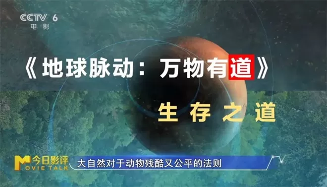 跟随《地球脉动:万物有道》解锁地球极致之美-💯值得看