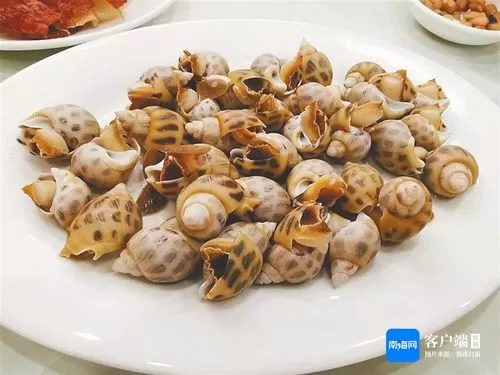 🌟东风螺水煮多少久可以吃了