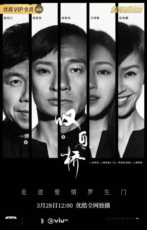 短剧「亏钱亏成世界首富」解说💖