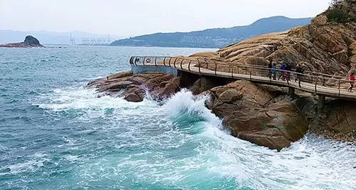 💞深圳海滨栈道附近的房子怎么样？