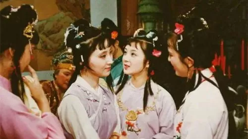 《红楼梦》中为什么没有小姐们外出社交的描写，难道清朝小姐们都是完全不出门只跟亲戚家的姐妹见面吗？