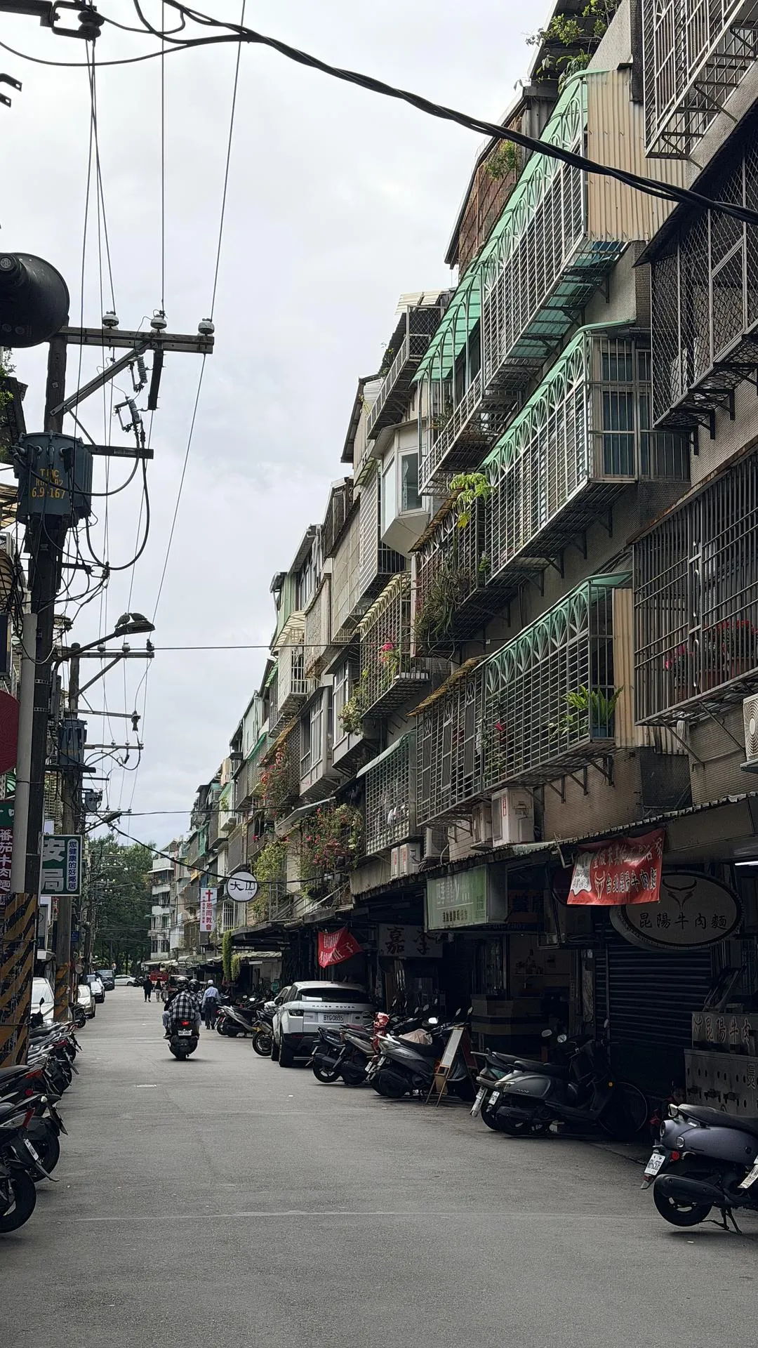 旅游推荐💖两人游：漫游在春末的台北  J人难得变P的一次逛吃旅行