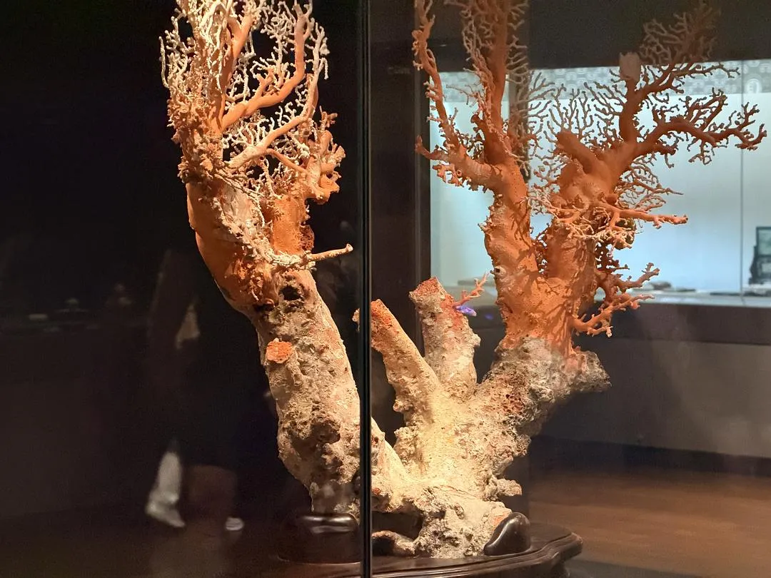 旅游推荐💖两人游：漫游在春末的台北  J人难得变P的一次逛吃旅行