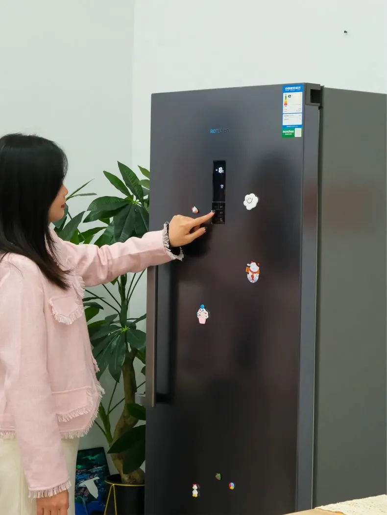 💢容声252L多层分区立式冰柜BD-252WRSY评测容声冰柜怎么样?