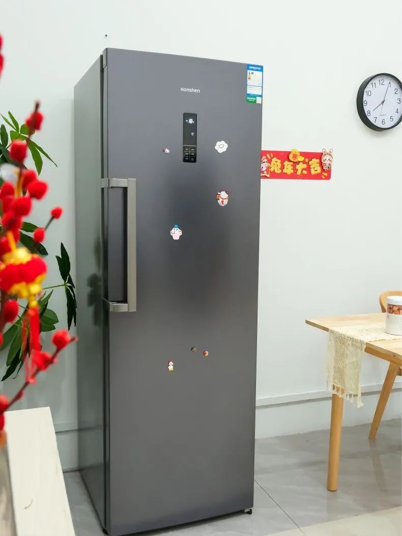 💢容声252L多层分区立式冰柜BD-252WRSY评测容声冰柜怎么样?