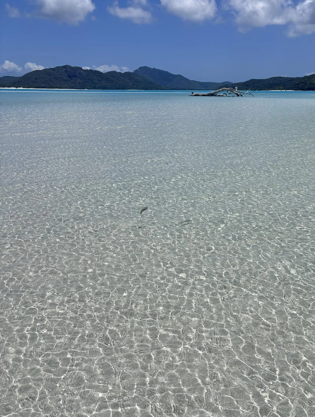 旅游推荐💯国外游：从澳洲回来了，人还在魂穿—挑战澳洲最美海岛（二编，已更完）